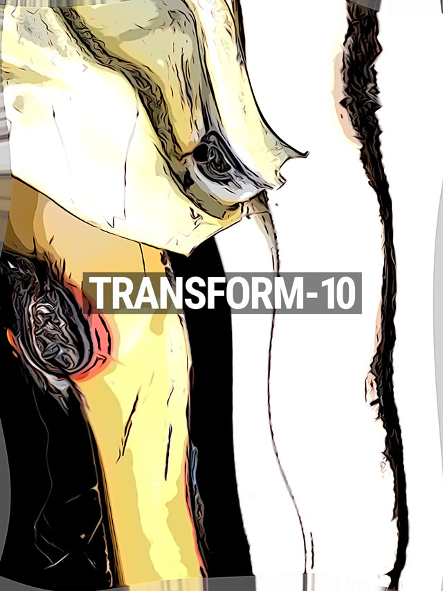 Transform-10
